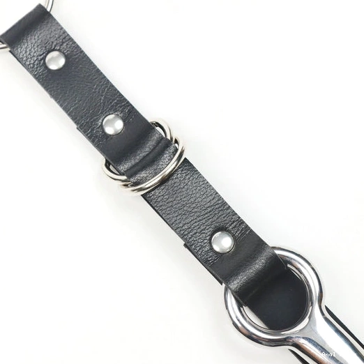 Anal Hooks Hook Anal with Kinky Leash EverydayUse and 5853 Collar 0808
